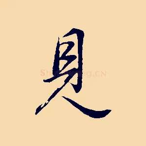 見