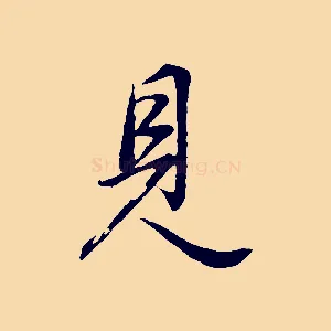 見