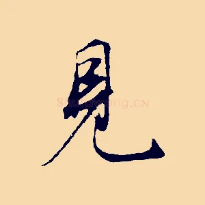 見