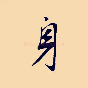 身