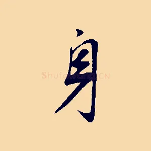 身