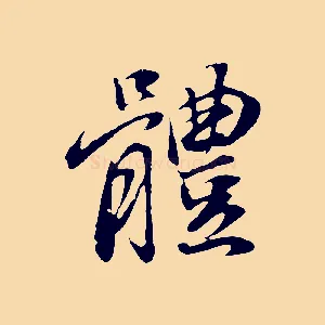 體