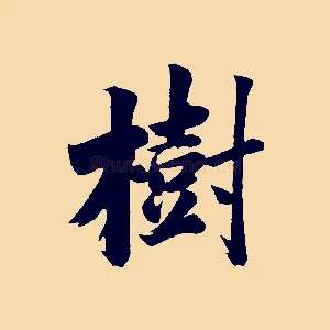 樹