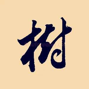 樹