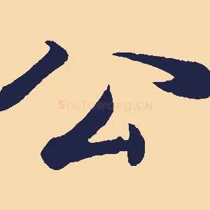 公