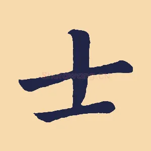 士