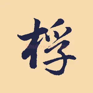 桴