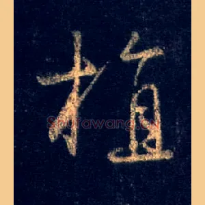 植
