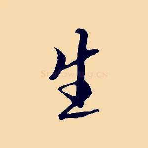 生