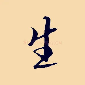 生