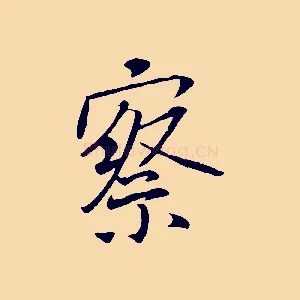 察