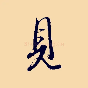 見