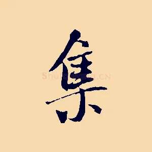 集