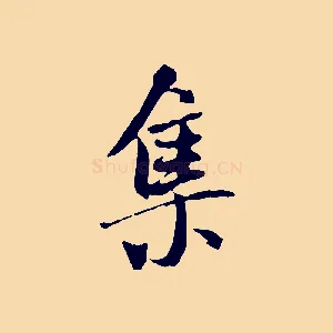 集