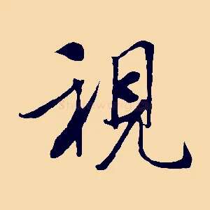視