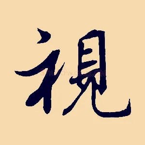 視