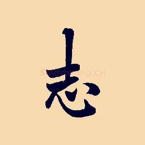 志