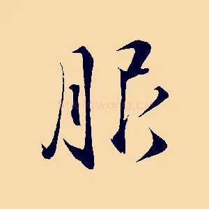 服