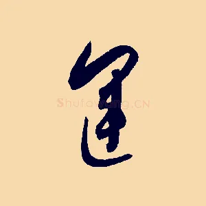 運