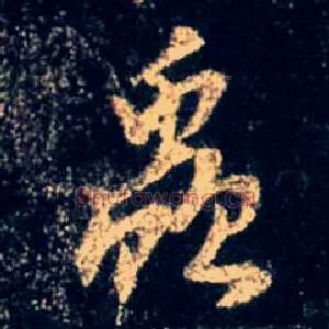 虫