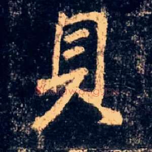 贝