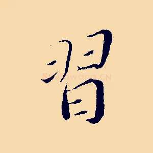 習