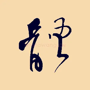 體