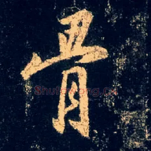 骨
