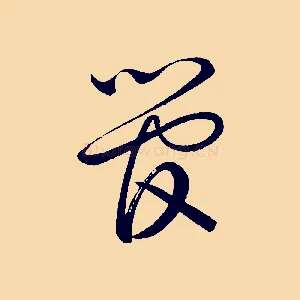 管
