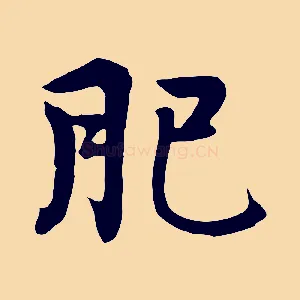 肥