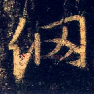 纲