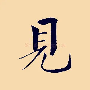 見