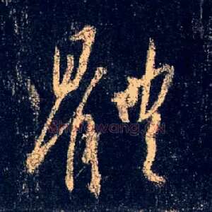 体