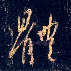 体