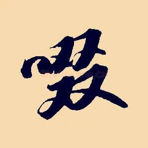 啜