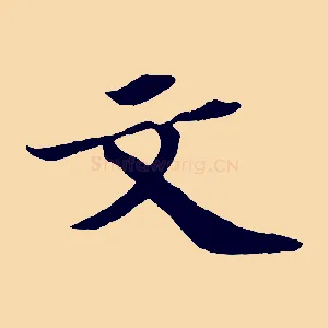 文