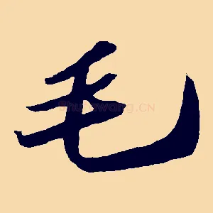 毛