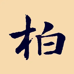 柏