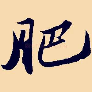 肥