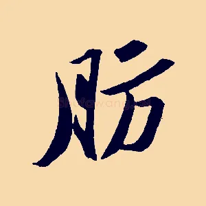 肪