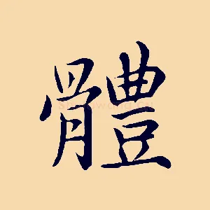 體