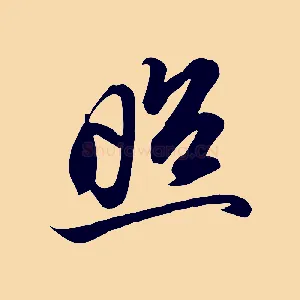 照