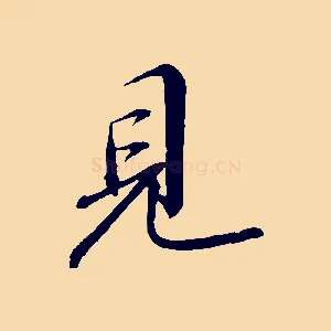 見