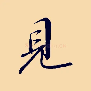 見