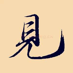 見