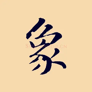 象