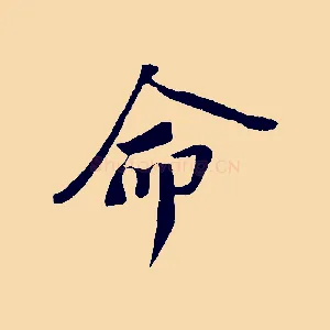 命