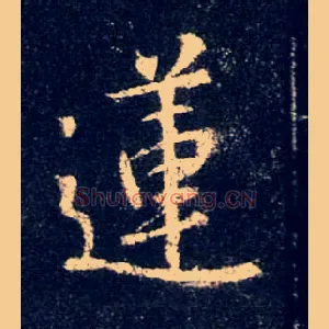 莲