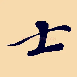 士