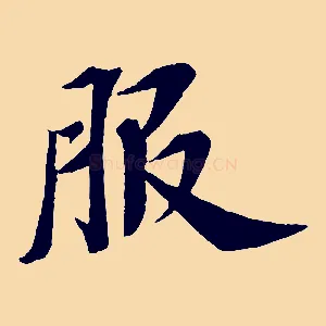 服